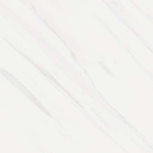 d6b920371cc6221a4ad6957c2545fdc8