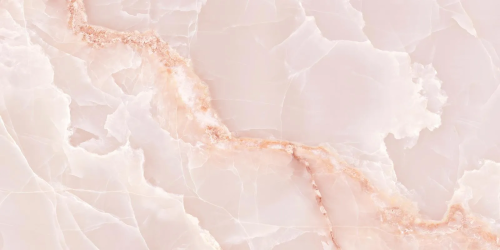 9d12c06fbd90d81bd740ee1fb2570d3f