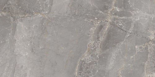 Płytka gresowa Ceramica Charme Grey 60x120