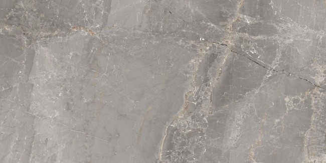 Płytka gresowa Ceramica Charme Grey 60x120