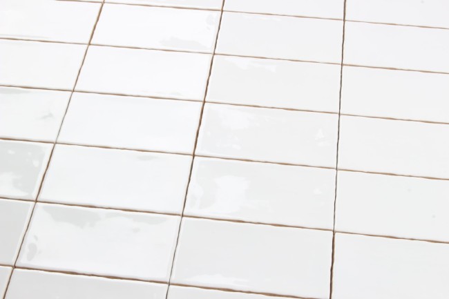 e49ef9caba8d2c66260cf4f061a3fa6e