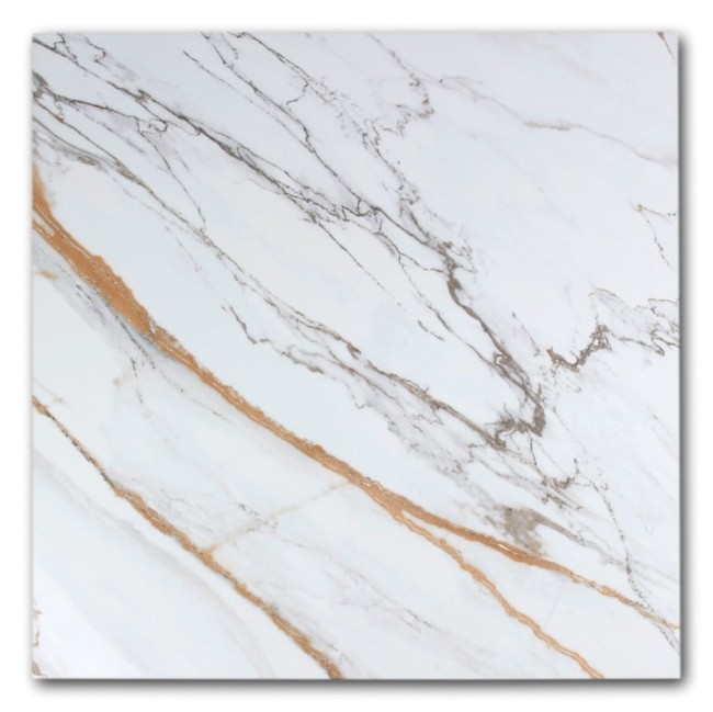 a2da9a3a0fdde93f82706c9c1b1bd486