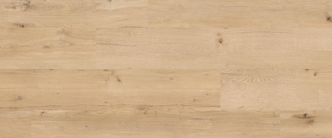 a7a41937b91b44bea5df2dfe4adff074