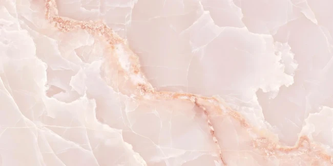 9d12c06fbd90d81bd740ee1fb2570d3f