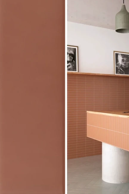 Płytka gresowa Costa Nova Terra Matowa 5x20